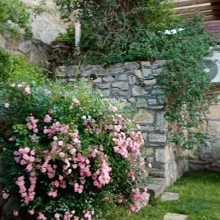 Fejesvoelgy Studioapartman Lägenhet Veszprém